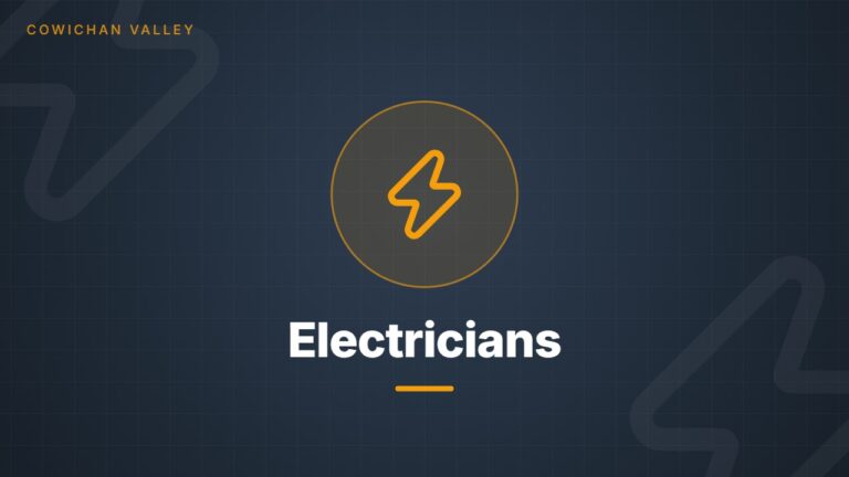 Electricians category image Electricians category image